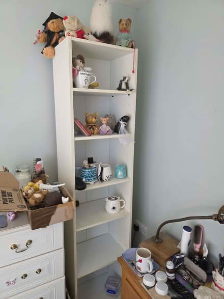 Photo of free 2 shelves 1 old drawers (Harrogate HG1) #2