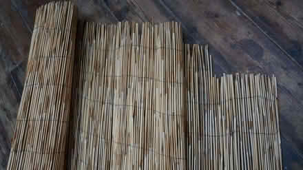 Photo of free decorative bamboo (Levenshulme M12) #1