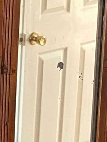 Photo of free Over-Mantle Mirror (Blossomfield B91) #4