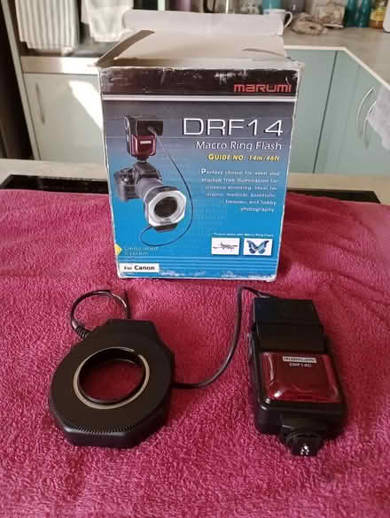 Photo of free Macro ring flash - photography (Park Drive TN34) #2