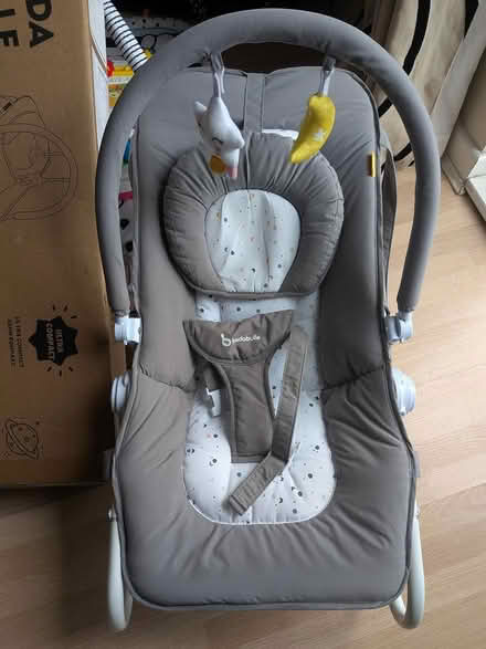 Photo of free Baby Bouncer (Sheffield S6) #1