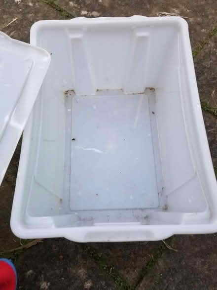 Photo of free White plastic box with lid (Gloucester) #1