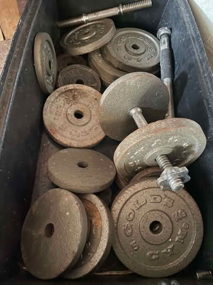 Photo of free Various bits of gym equipment (Dutton PR3) #2