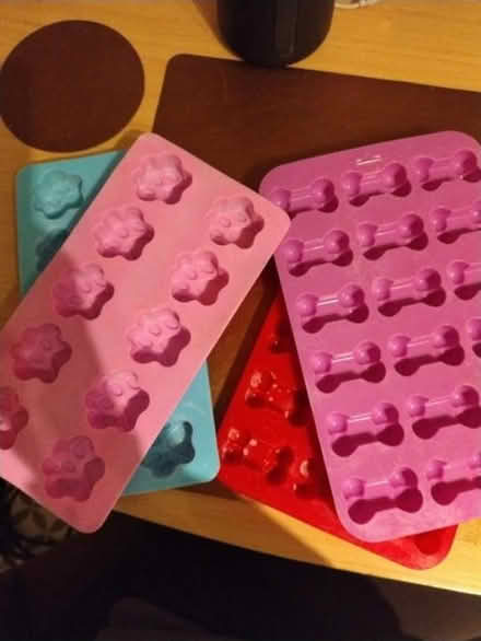 Photo of free Silicone dog treats baking tray (Adamsdown CF24) #1