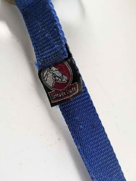 Photo of free Blue Foal Halter by Cottage Craft (Coombe Bissett SP5) #2