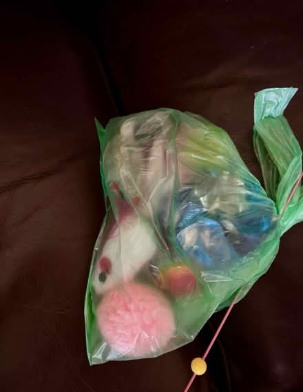 Photo of free Cat toys (WN7) #2