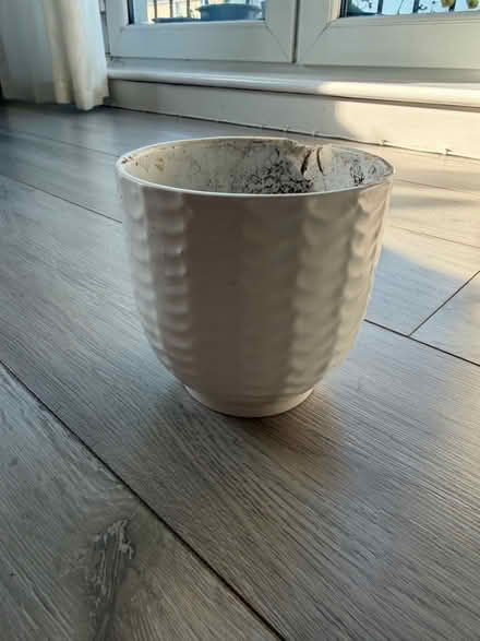 Photo of free Plant pot with slight chip (Weston) #1