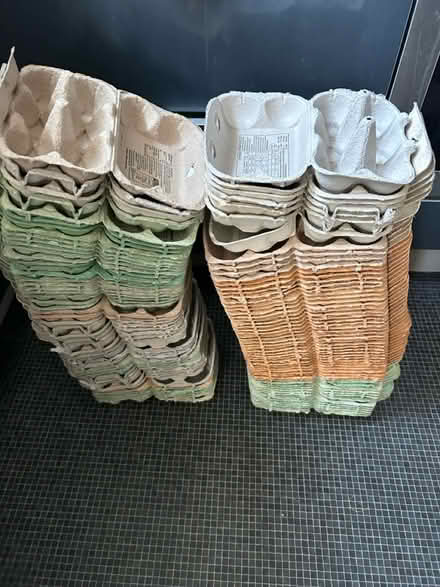 Photo of free 100 egg boxes (Kirkstall LS5) #1