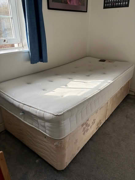 Photo of free Single bed and mattress (Anstey LE7) #1
