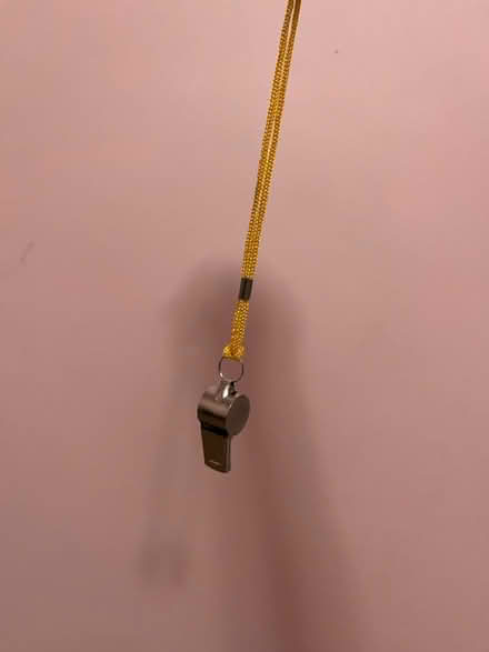 Photo of free Whistle (Winter Hill) #1