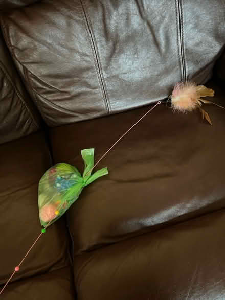 Photo of free Cat toys (WN7) #1