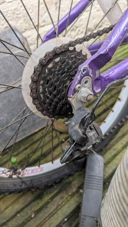 Photo of free Luna Carrera Bike (WS1 2ay) #4