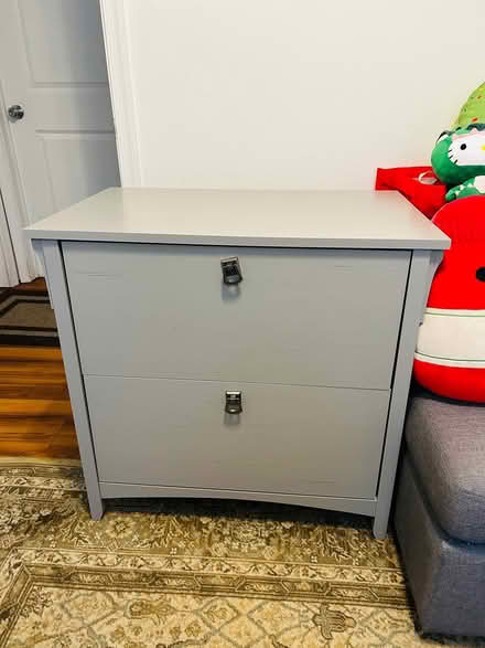 Photo of free File Cabinet (Browns Mills) #1