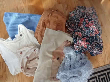 Photo of free Various (Willesborough) #1