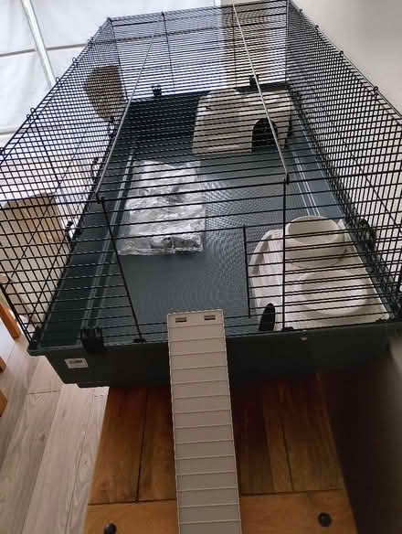 Photo of free Guinea Pig/Rabbit cage (Kingswood SS16) #1
