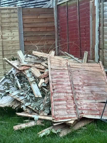 Photo of free Loads of wooden fence panels (Bridgemary PO13) #2