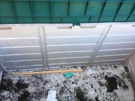 Photo of free Garden box (Wallsend NE28) #2