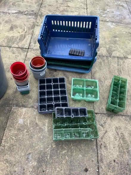 Photo of free Plant pots / modules/flexi tub (OL5 Mossley) #1