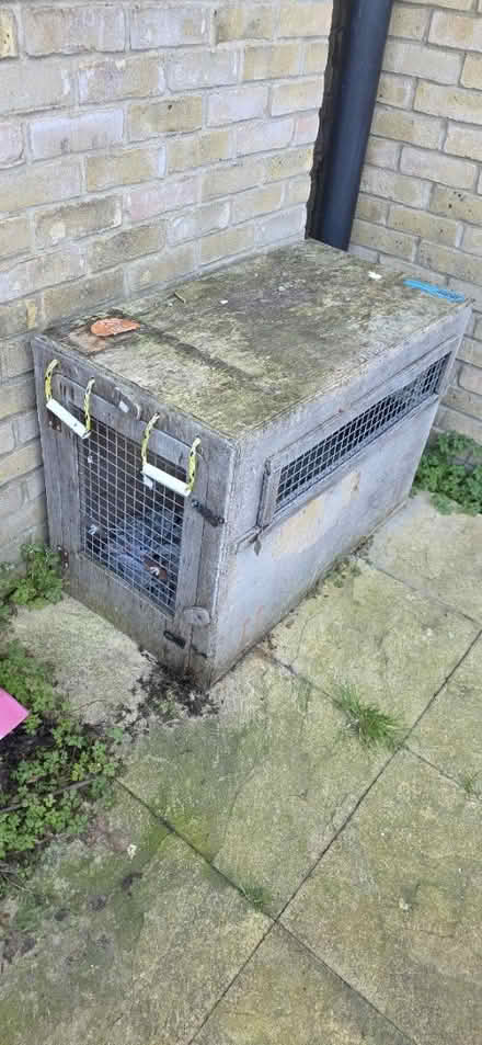 Photo of free Dog Transport Crate (Weathered) (SW17 9HE) #3