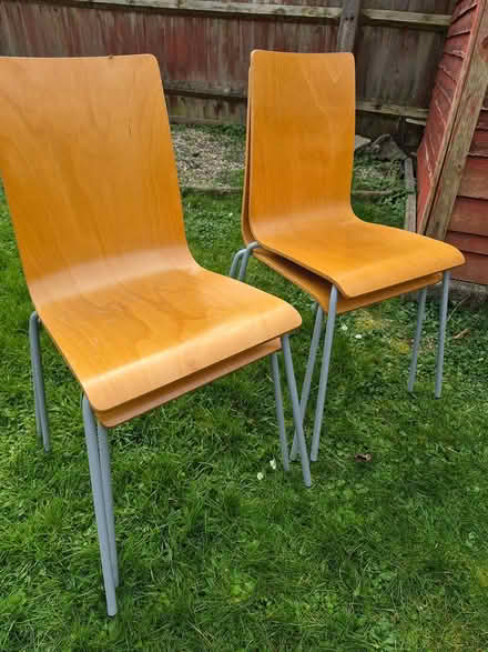 Photo of free Plywood chairs (Clevedon BS21) #1