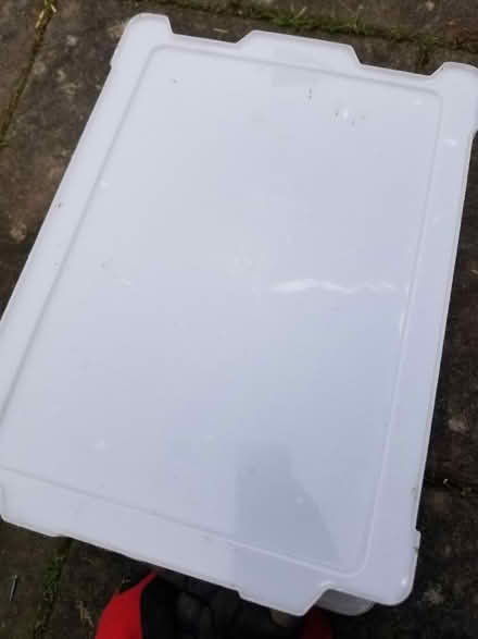 Photo of free White plastic box with lid (Gloucester) #2