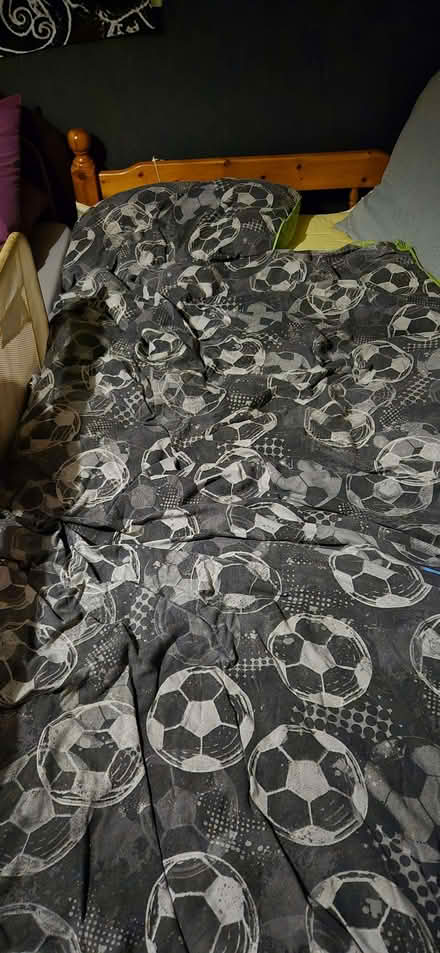 Photo of free Solid single bed (Windygates KY8) #3