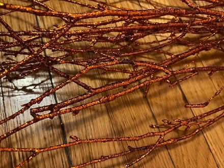 Photo of free Orange sparkle stick decoration (Winter Hill) #3