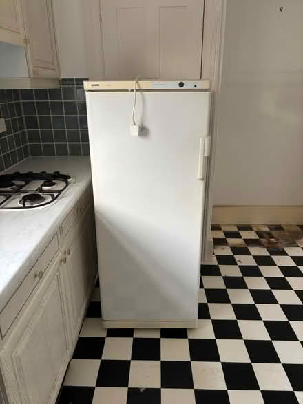 Photo of free to collect large Bosch fridge (Eastbourne BN20) #3