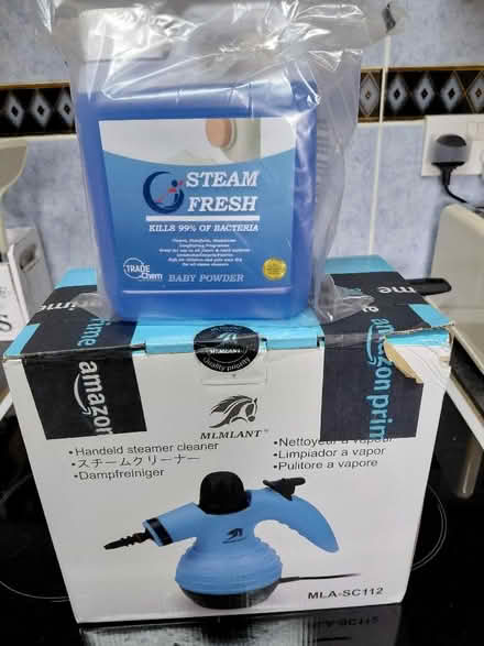 Photo of free Handheld steamer (Rowner PO13) #1