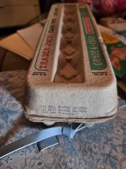 Photo of free 5 Trader Joe's Free Range Eggs (Brightwood-Takoma) #2