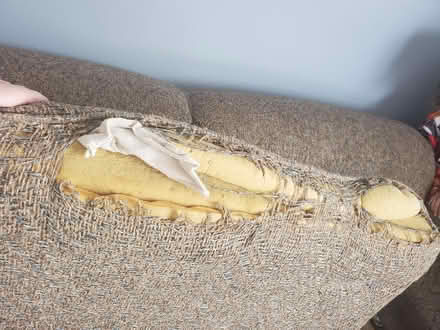 Photo of free Pull out couch (North end lindsay) #3