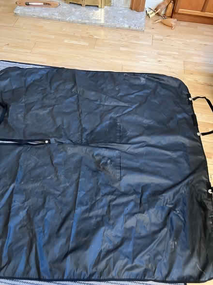Photo of free Car seat protecter for dogs (SE12) #1