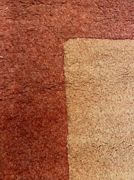 Photo of free Rug (Sedbergh LA10) #2