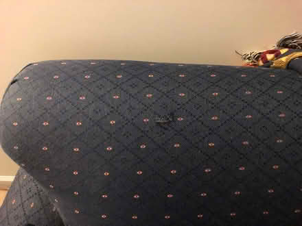 Photo of free Sleeper sofa (Taneytown MD) #2