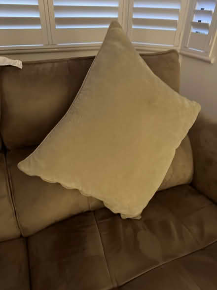 Photo of free 2 x Next Stone 59 x 59cm Soft Velour Cushion (ME9) #2