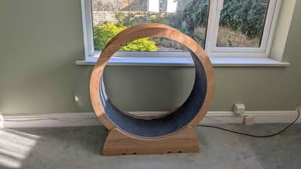 Photo of free Small Cat Wheel (CT7) #1