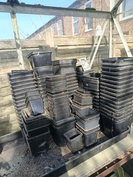 Photo of free Square plant pots. (St Nicholas SG1) #1