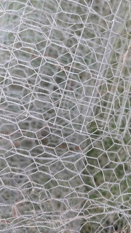 Photo of free Roll chicken wire (Walsall WS1) #2