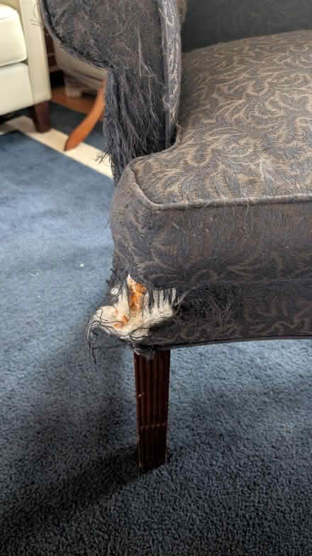 Photo of free Wing-Back Chair (Reupholstery!) (Near Schaumburg Village hall) #2
