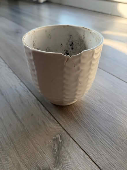 Photo of free Plant pot with slight chip (Weston) #3