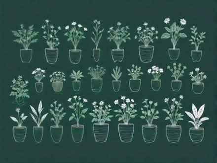 Photo of multiple plants and flowers seeds (Leytonstone E11) #1