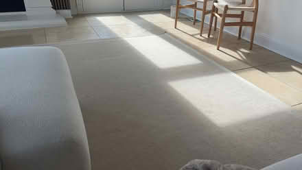 Photo of free Beige Rug 9x14 (Lake Forest Park) #1