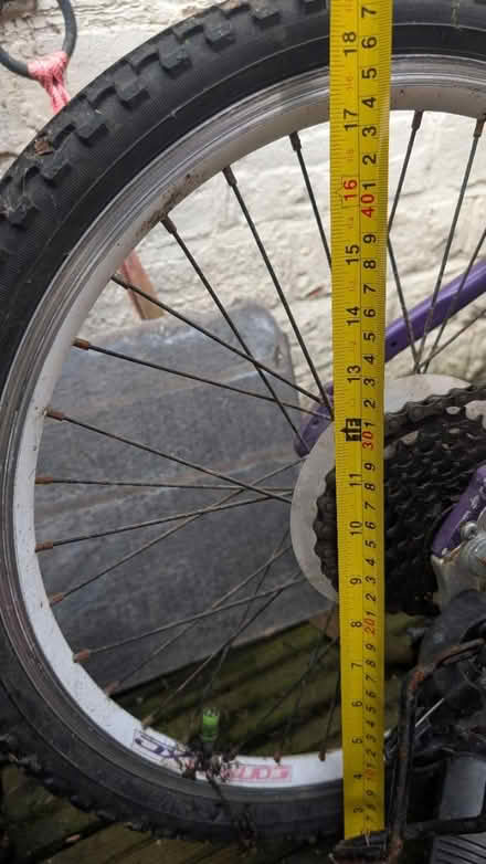 Photo of free Luna Carrera Bike (WS1 2ay) #3