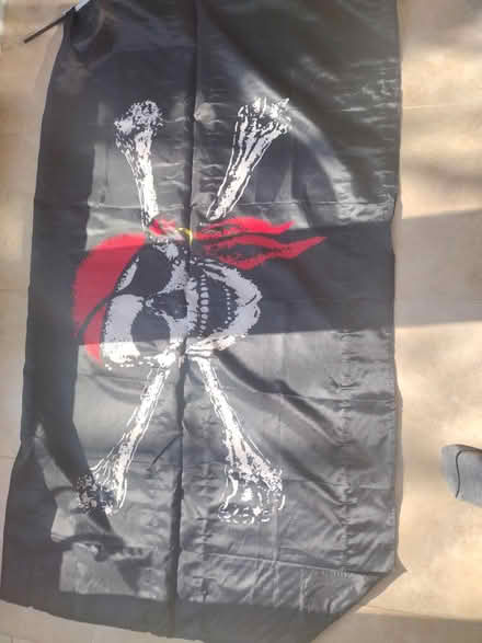 Photo of free Pirate flag on tent pole (Norwich NR7) #1