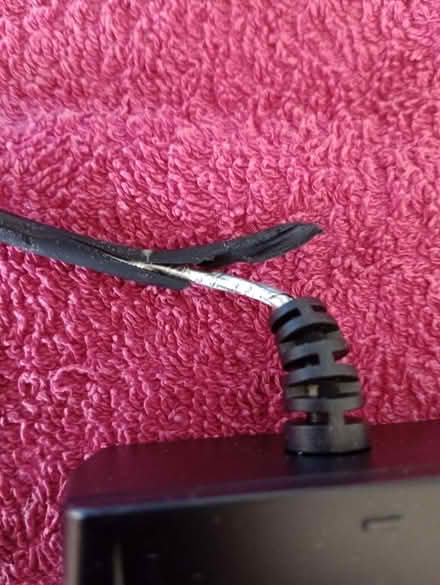 Photo of free Macro ring flash - photography (Park Drive TN34) #4