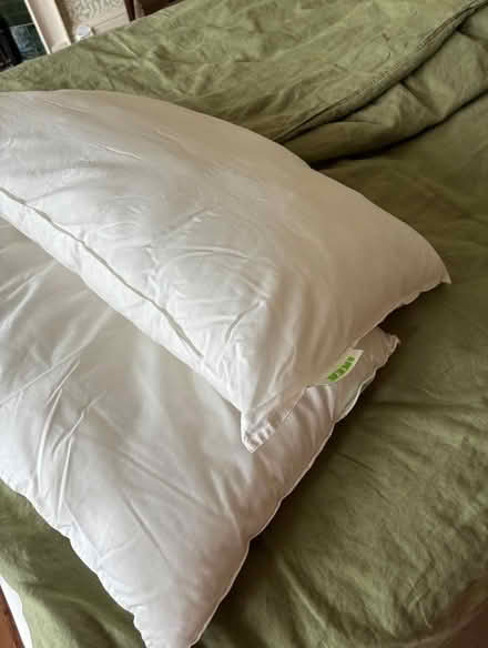 Photo of free IKEA Gosa Vadd Pillows (Townsend AL3) #1