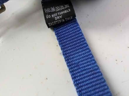 Photo of free Blue Foal Halter by Cottage Craft (Coombe Bissett SP5) #4