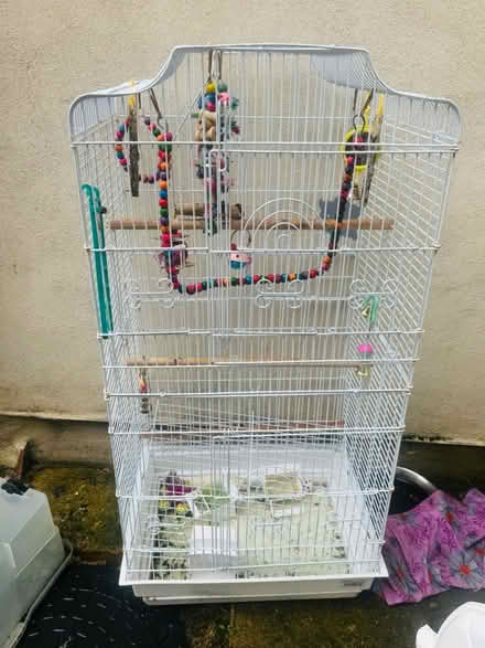 Photo of free large bird cage (LU3) #1