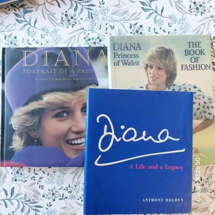 Photo of free Princess Diana books (Addlestone KT15) #1