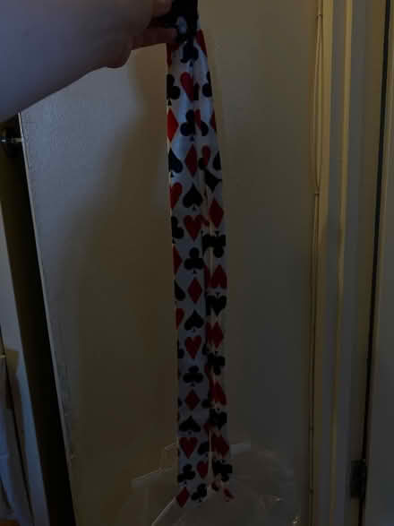 Photo of free Hat and necktie costume (West Ham E15) #2